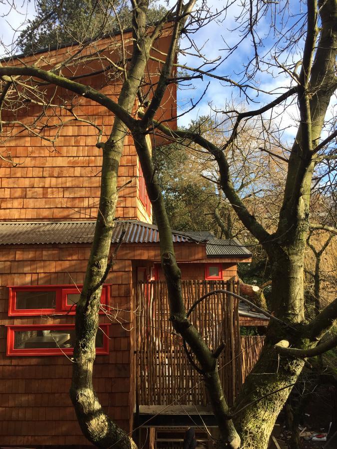 Almabosque Cabanas Puerto Varas Exteriör bild