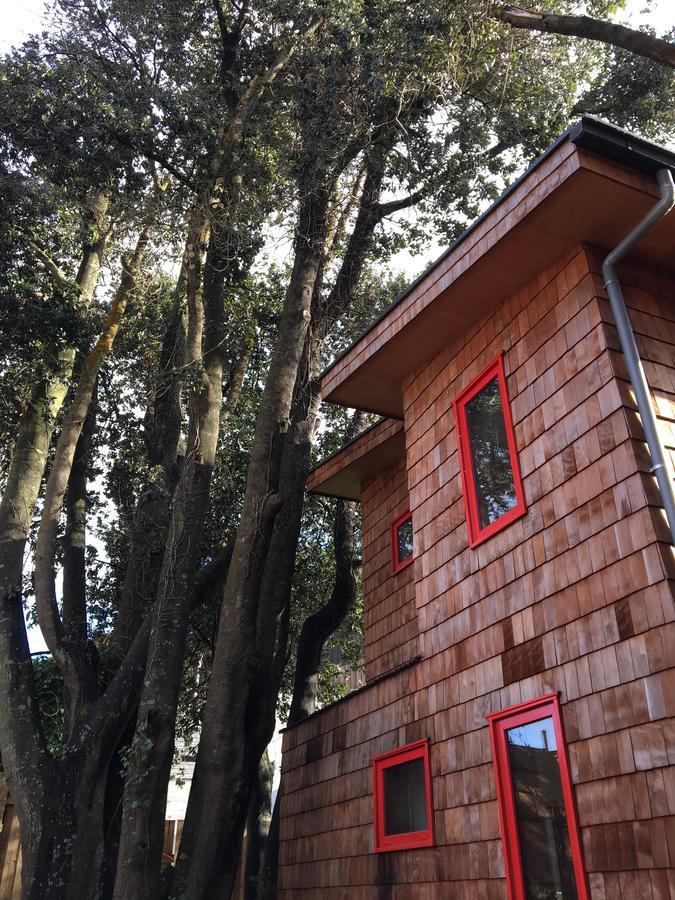 Almabosque Cabanas Puerto Varas Exteriör bild