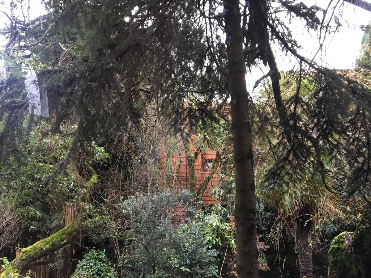 Almabosque Cabanas Puerto Varas Exteriör bild