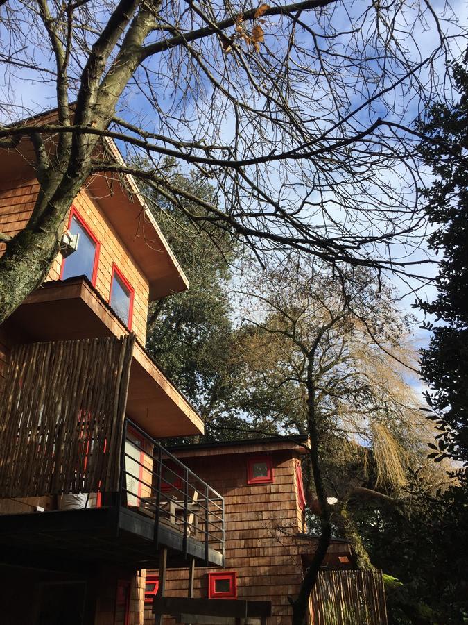 Almabosque Cabanas Puerto Varas Exteriör bild