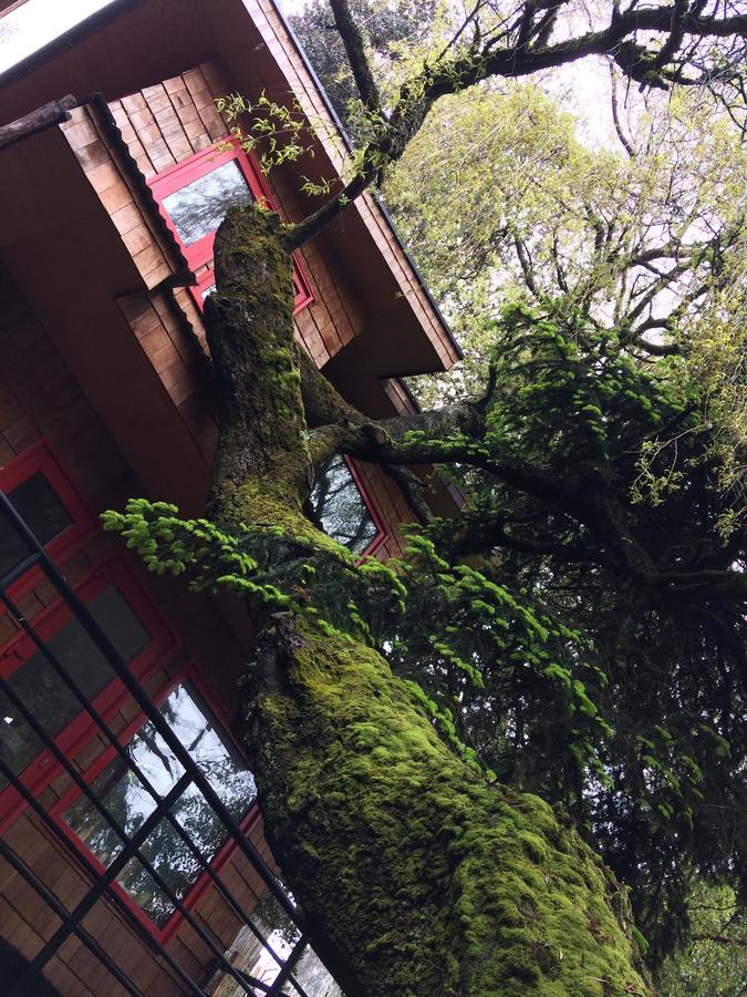 Almabosque Cabanas Puerto Varas Exteriör bild
