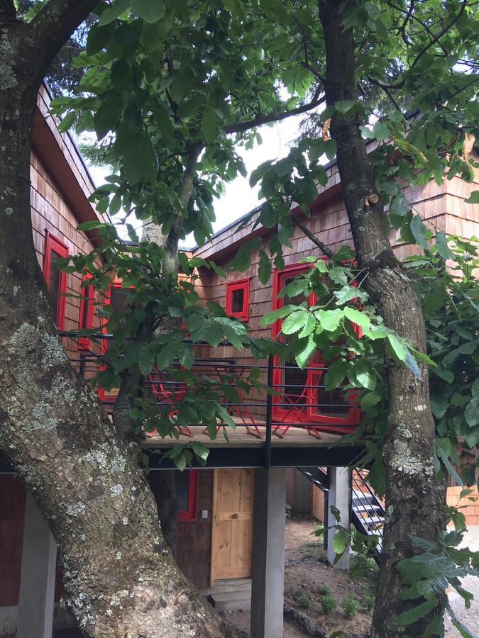 Almabosque Cabanas Puerto Varas Exteriör bild