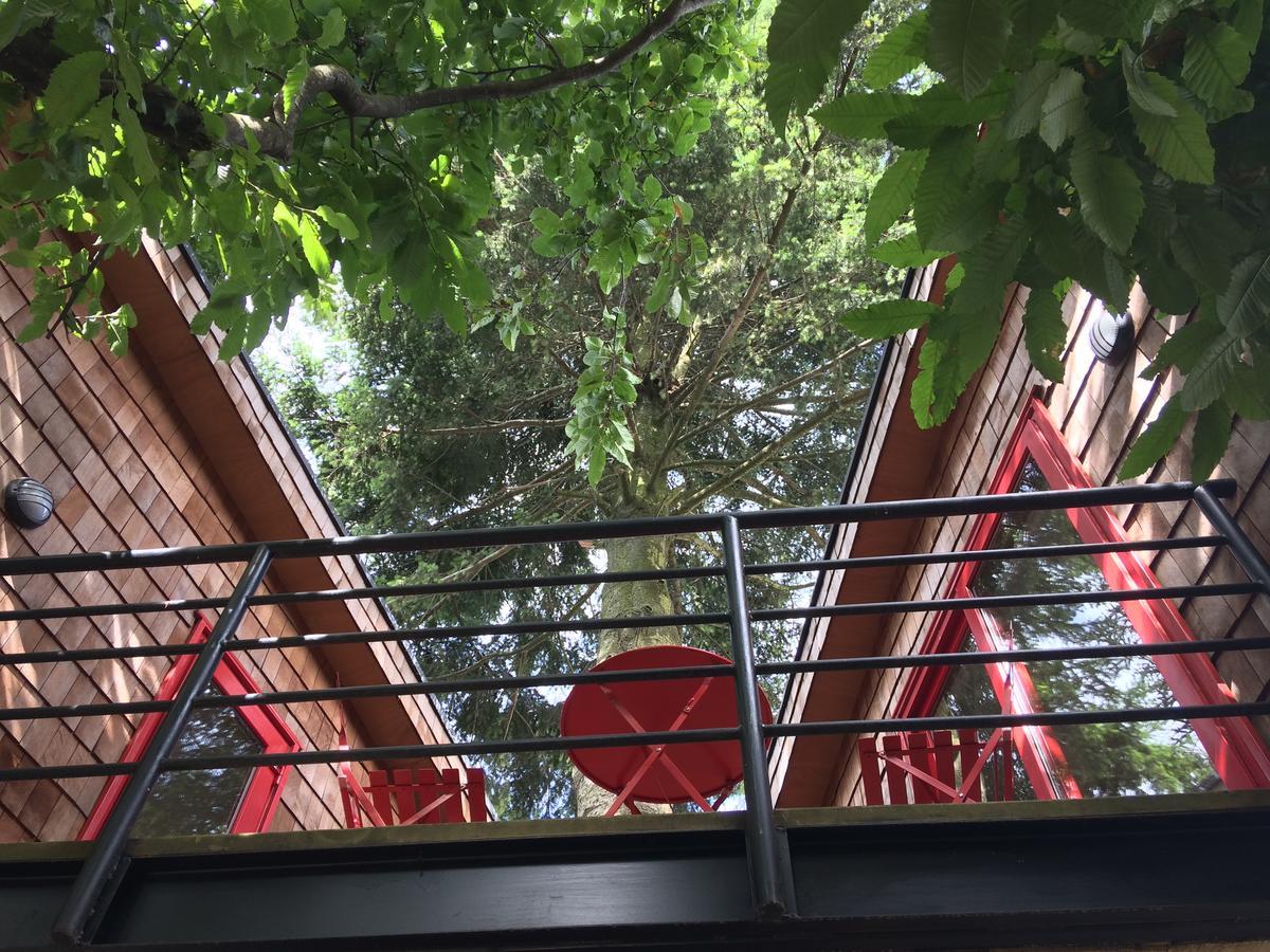 Almabosque Cabanas Puerto Varas Exteriör bild