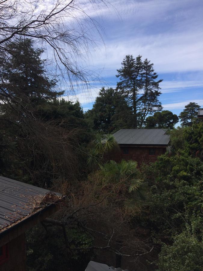Almabosque Cabanas Puerto Varas Exteriör bild